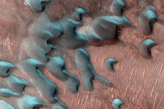 A colored image of frosted sand dunes located far north of Mars’ equator.