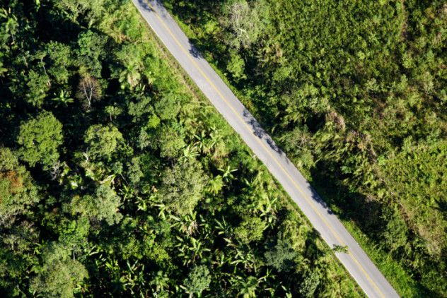 the road to disaster