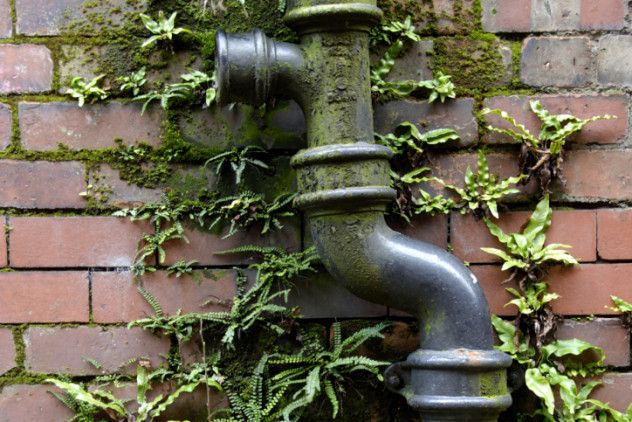 sewer pipe