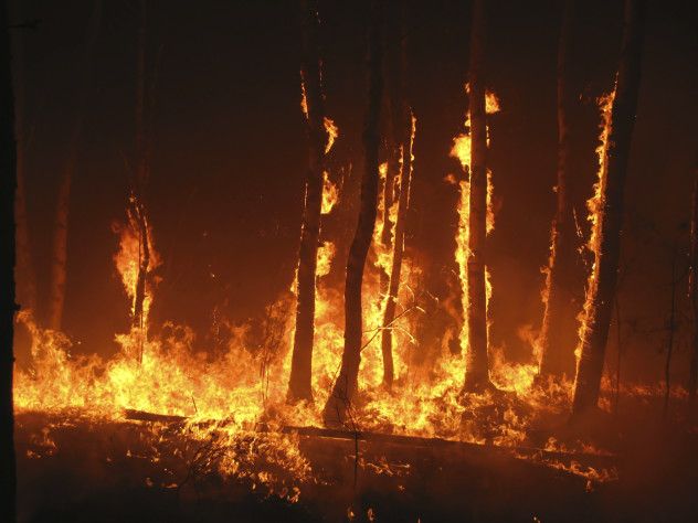 8. Global Firestorm