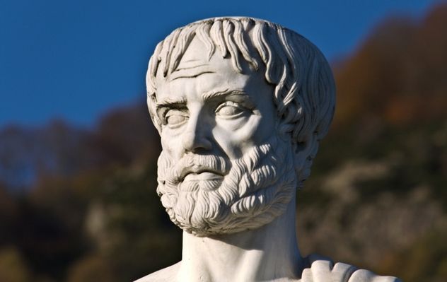 6_105929520