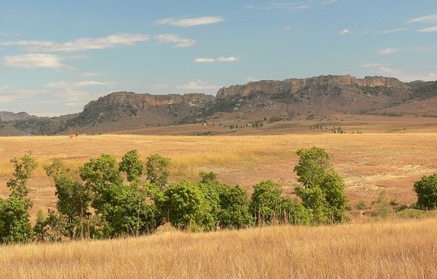 2_Western_Madagascar