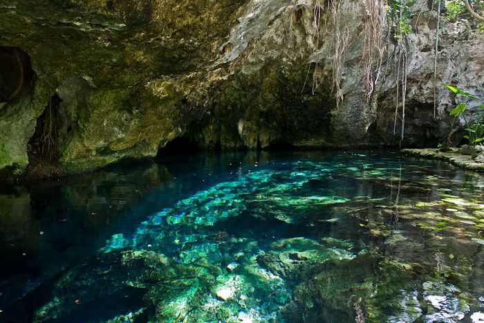 A cenote within Mexico's Sac Actun underwater cave system.