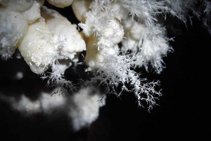 Crystals within Jewel Cave National Monument
