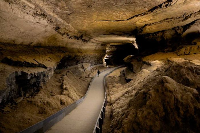 A pedestrian pathway inside Mammoth Cave National Park.