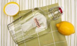 A bottle labeled 'vinegar' rests on a green checkered cloth, alongside a lemon and baking soda.