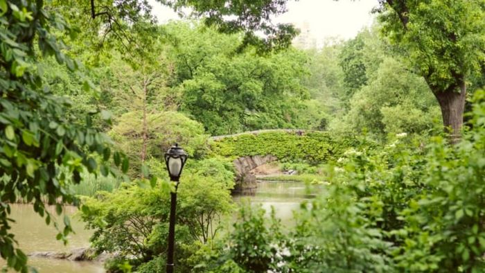 Gapstow Bridge in Central Park.