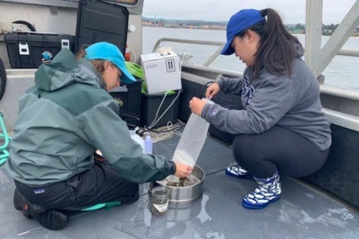 Shirel Kahane-Rapport (left) and Lauren Kashiwabara gather microplastics from whale feeding zones.