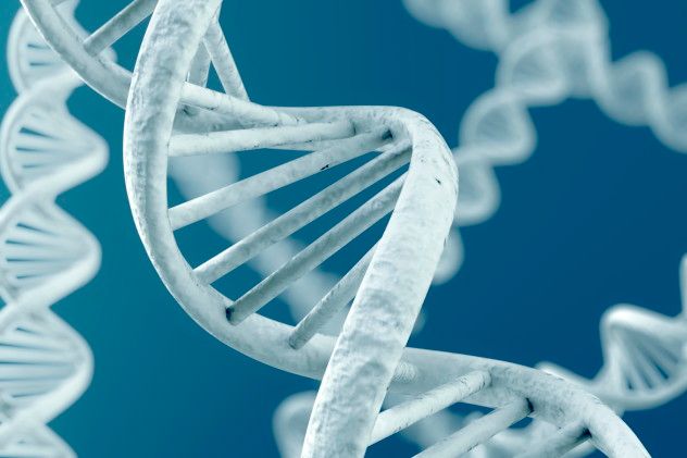 Selfish Gene