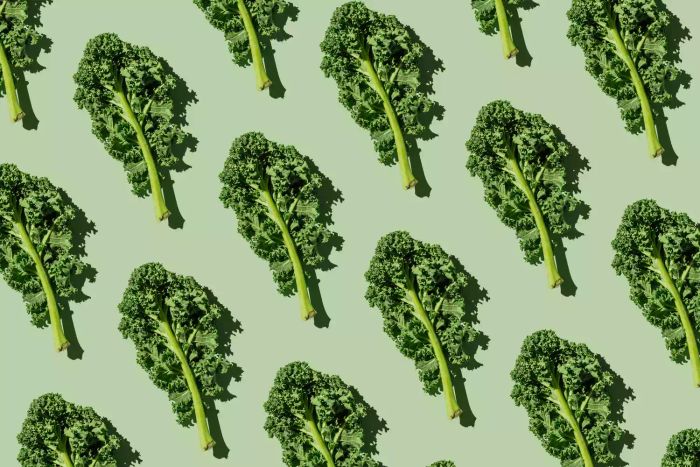 fruits-vegetables-with-long-shelf-life-kale-GettyImages-1460563116