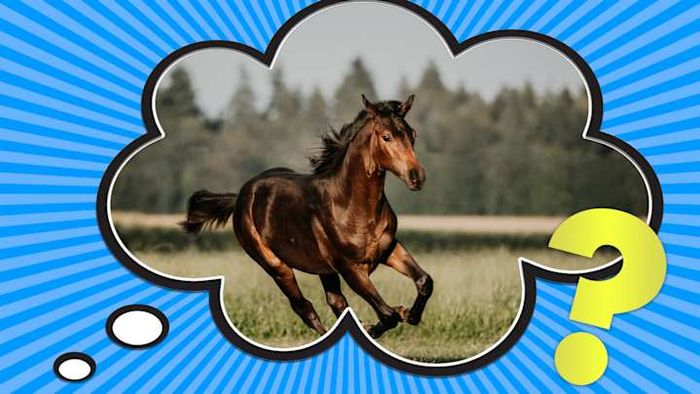 The concept of horsepower played a crucial role in the promotion of steam engines.