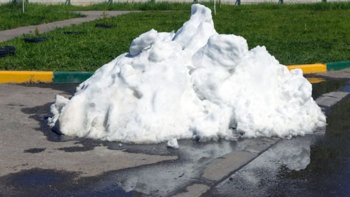 The harsh truth of a winter landscape.