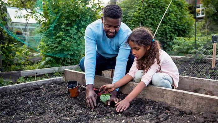 A man and a young girl are planting in a garden box together.