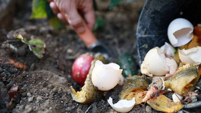 A close-up image of a compost pile, featuring vegetable and fruit scraps along with eggshells.