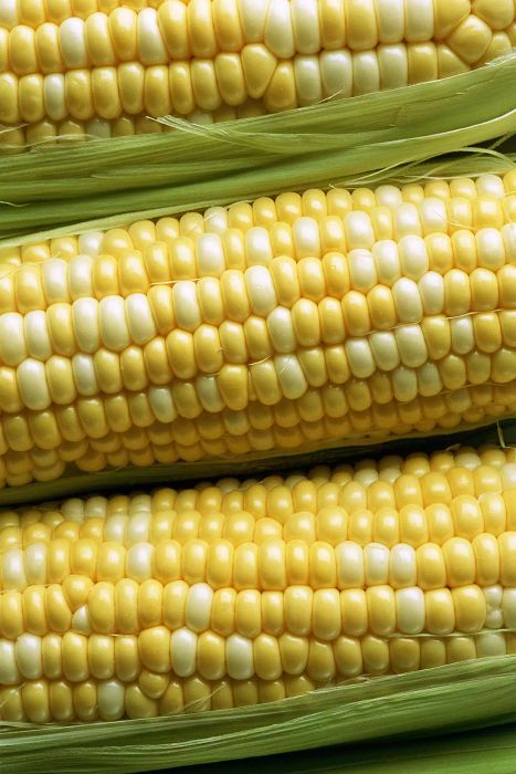 Corn on the Cob