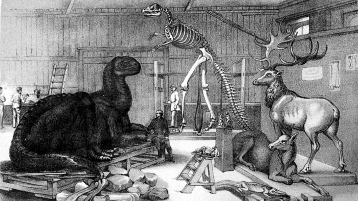 A view of Benjamin Waterhouse Hawkins's Central Park studio