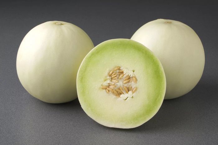 Image of three honeydew melons