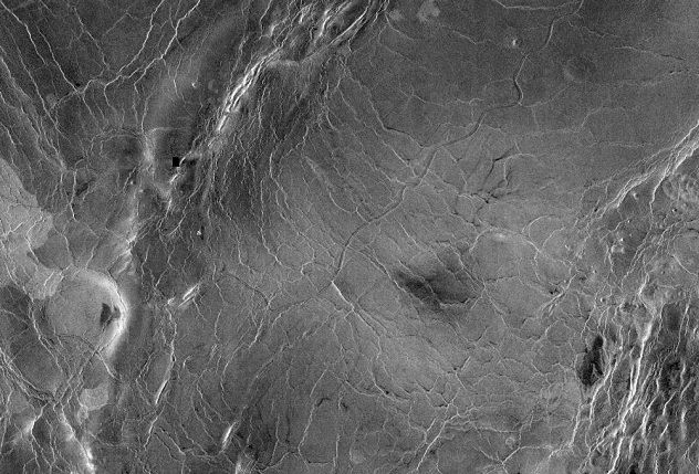 baltis-vallis