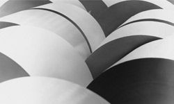 Enormous rolls of paper