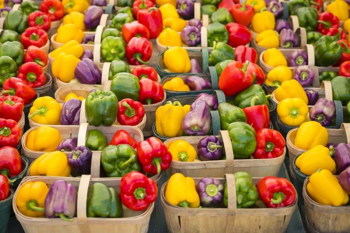 Baskets filled with various colored bell peppers at a local farmer's market