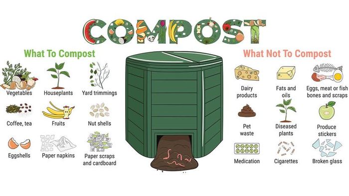 An illustration demonstrating what items are suitable and unsuitable for composting.