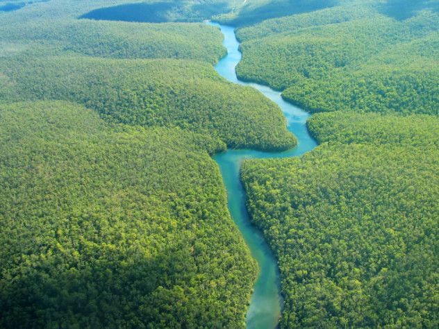 Amazon river