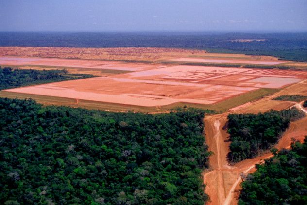 Amazon deforestation