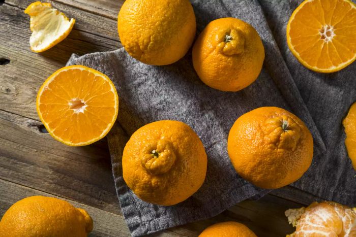 Sumo citrus oranges, whole and sliced on a table