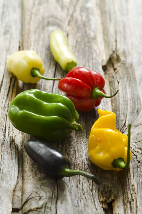 Different hot chili peppers