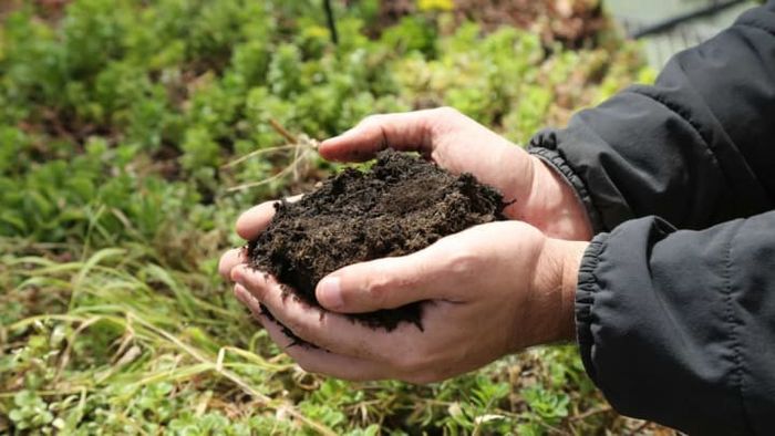 DCWater uses the power of microbes to turn waste into valuable fertilizer.