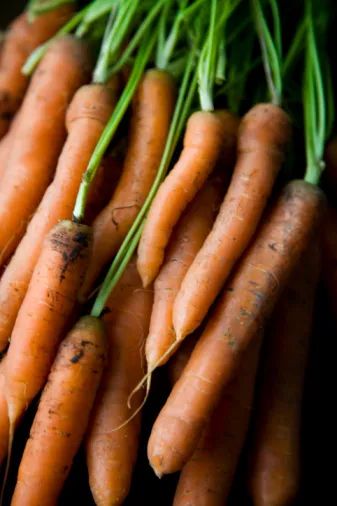 Carrots