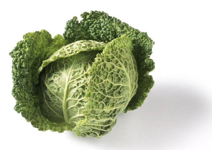 Cabbage Head
