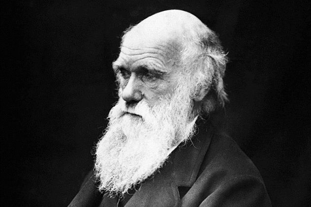 797px-Charles_Darwin_01