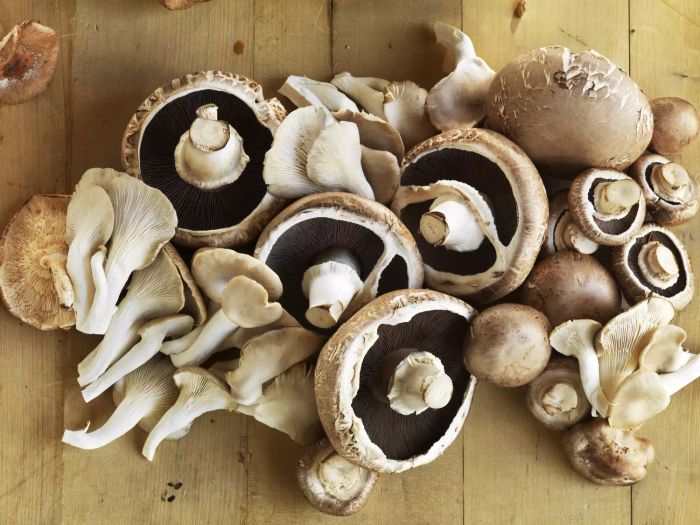 Fresh Mushrooms