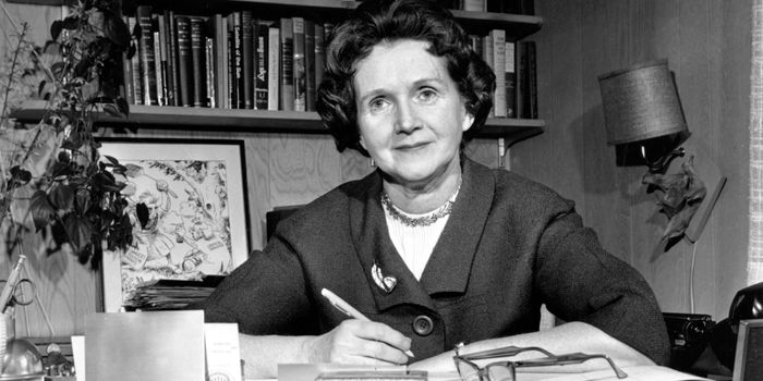 RACHEL CARSON
