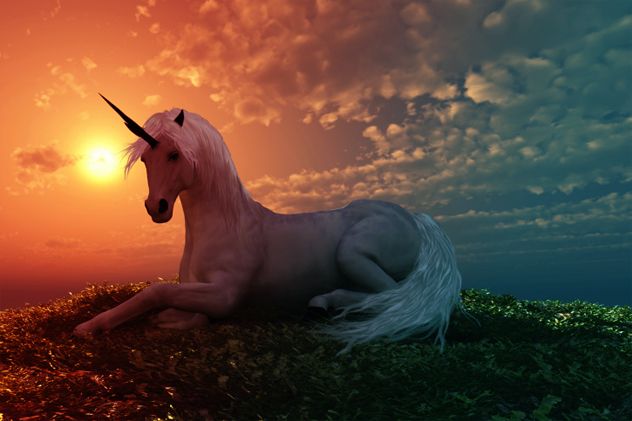 8- alicorn