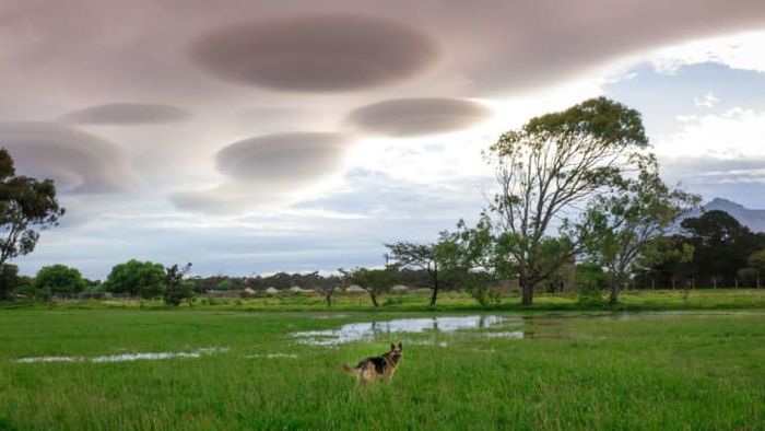 Lenticular clouds over Cape Town, South Africa.