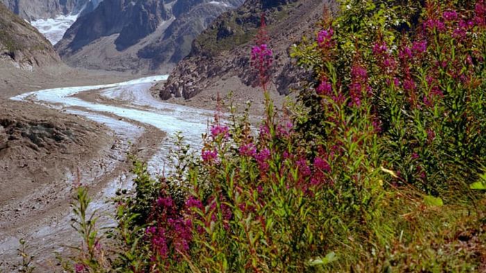 Mer de Glace is rapidly disappearing from the French Alps.
