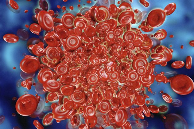 1- blood