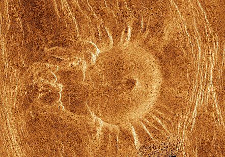 rsz_1venus_tick