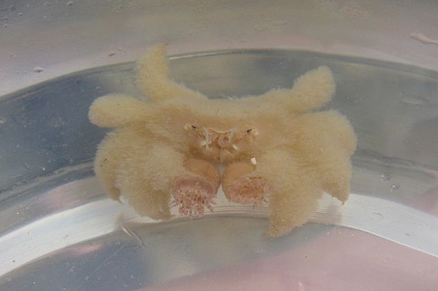 6- teddy bear 2