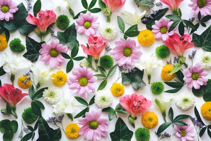 Present Flowers