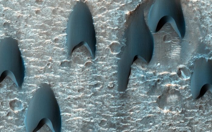 pia17981
