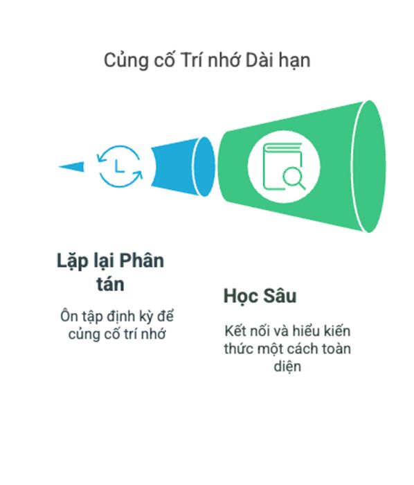 Củng cố trí nhớ lâu dài