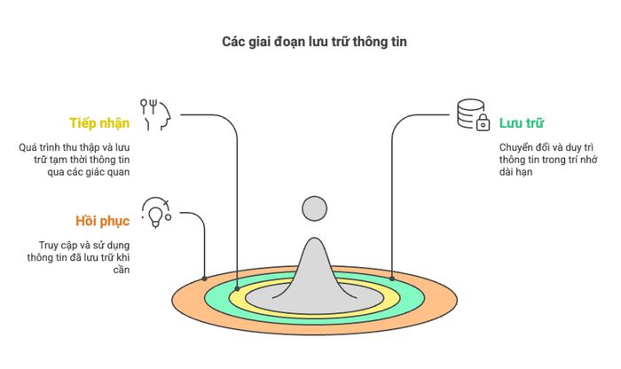 Các bước lưu trữ thông tin