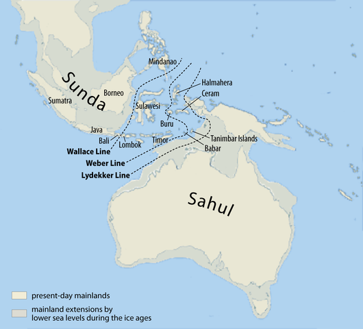 530px-Map_of_Sunda_and_Sahul
