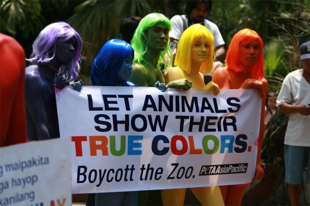 5- Anti Zoo