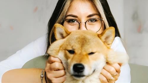 Chơi đùa với thú cưng