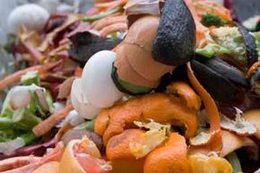 Food waste ready to be composted