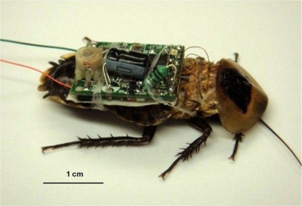 DARPA-HI-MEMS-021